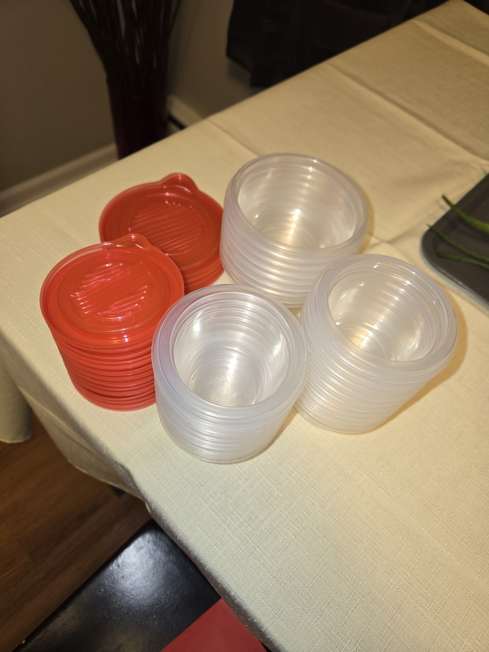 Plastic Storage Containers with Red Lids